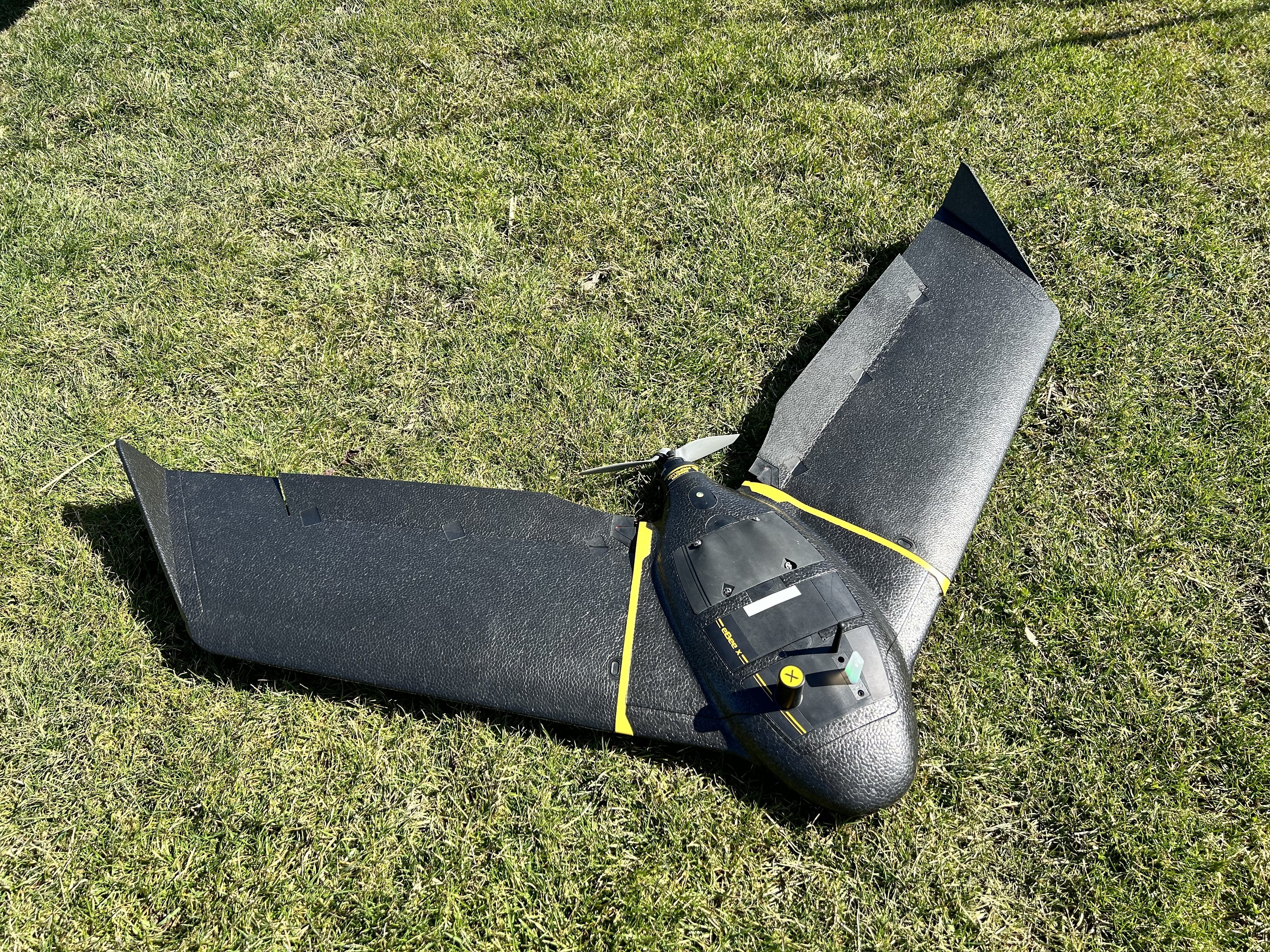 RPAS